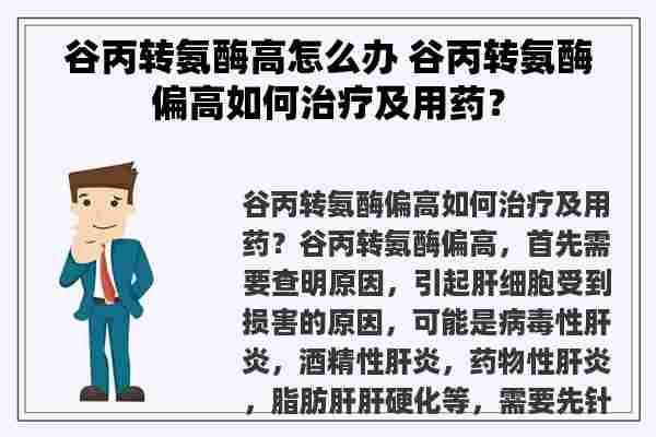 谷丙转氨酶高怎么办 谷丙转氨酶偏高如何治疗及用药？